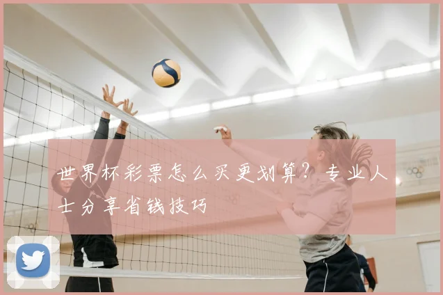 世界杯彩票怎么买更划算?专业人士分享省钱技巧